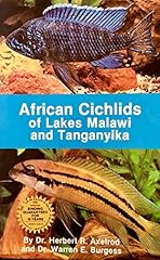 African cichlids lakes for sale  Delivered anywhere in USA 