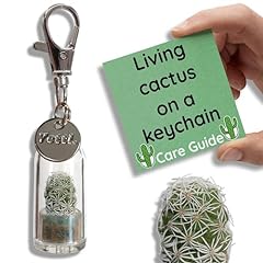 Yetti real cactus for sale  Delivered anywhere in UK