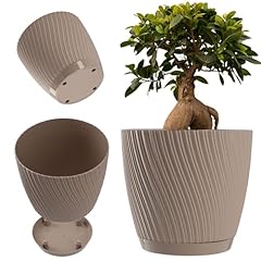 Kadax vaso fiori usato  Spedito ovunque in Italia 