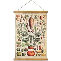 Antique vintage vegetables for sale  Delivered anywhere in USA 