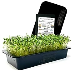 Autumn microgreens grow for sale  Delivered anywhere in USA 