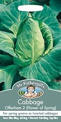 Fothergill 23380 vegetable for sale  Delivered anywhere in UK