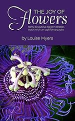 Joy flowers forty for sale  Delivered anywhere in USA 
