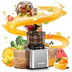 Flyseago commercial 300w for sale  Delivered anywhere in USA 
