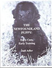 Newfoundland puppy early for sale  Delivered anywhere in USA 