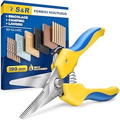 Forbici cesoie bricolage usato  Spedito ovunque in Italia 