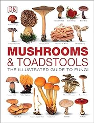 Mushrooms toadstools for sale  Delivered anywhere in UK