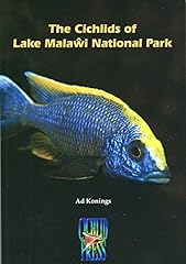 Cichlids lake malawi for sale  Delivered anywhere in USA 