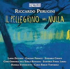 Riccardo perugini pellegrino usato  Spedito ovunque in Italia 