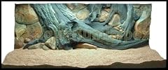 Rückwand 120x50 aquariumrück gebraucht kaufen  Wird an jeden Ort in Deutschland