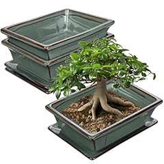 Bonsai töpfe keramik gebraucht kaufen  Wird an jeden Ort in Deutschland