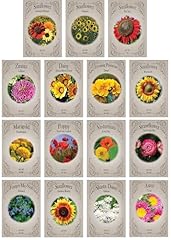Set premium variety for sale  Delivered anywhere in USA 