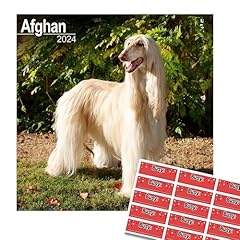 Afghan hound calendar for sale  Delivered anywhere in UK