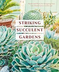 Striking succulent gardens for sale  Delivered anywhere in UK