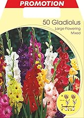 Bulbi primaverili gladioli usato  Spedito ovunque in Italia 