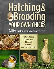 Hatching brooding chicks for sale  Delivered anywhere in Ireland