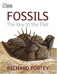 Fossils the key gebraucht kaufen  Wird an jeden Ort in Deutschland
