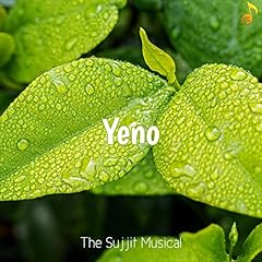 Yeno d'occasion  Livré partout en France