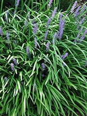 Perennial farm marketplace for sale  Delivered anywhere in USA 