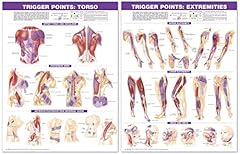Acc trigger point for sale  Delivered anywhere in USA 