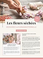 Fleurs séchées découvrez d'occasion  Livré partout en France