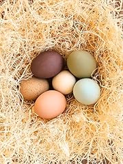 Eggcetera ceramic nest for sale  Delivered anywhere in USA 