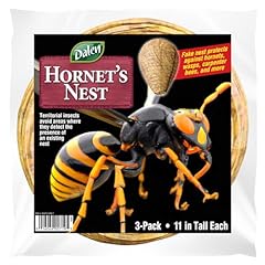Dalen hornet nest for sale  Delivered anywhere in USA 