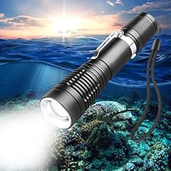 Liaisimi immersione torcia usato  Spedito ovunque in Italia 