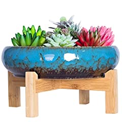 Succulent pots large for sale  Delivered anywhere in USA 
