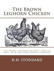 Brown leghorn chicken for sale  Delivered anywhere in USA 