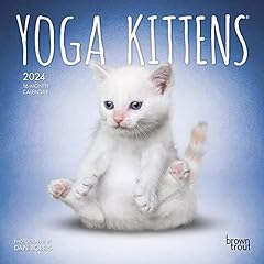 Yoga kittens official for sale  Delivered anywhere in USA 