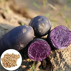 200 semi patate usato  Spedito ovunque in Italia 