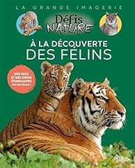 Découverte félins d'occasion  Livré partout en France