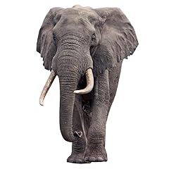 Elephant life size for sale  Delivered anywhere in USA 