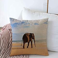 Throw pillow covers for sale  Delivered anywhere in USA 