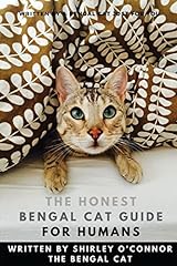 Honest bengal cat for sale  Delivered anywhere in USA 