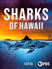 Sharks hawaii for sale  Delivered anywhere in USA 