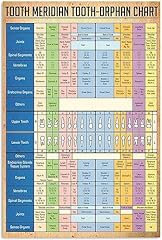 Dentist knowledge posters for sale  Delivered anywhere in UK