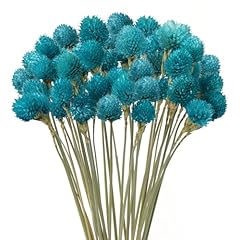 Mihuage dried flower for sale  Delivered anywhere in USA 