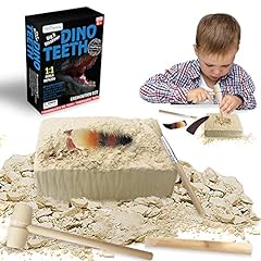 Artcreativity dino teeth for sale  Delivered anywhere in USA 