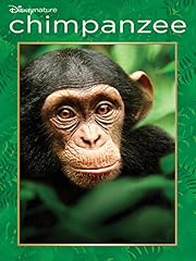 Disneynature chimpanzee for sale  Delivered anywhere in USA 
