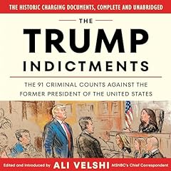 Trump indictments criminal for sale  Delivered anywhere in USA 