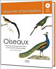 gravure oiseau d'occasion  Livré partout en France