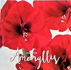 True value amaryllis for sale  Delivered anywhere in USA 