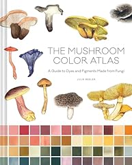 The mushroom color gebraucht kaufen  Wird an jeden Ort in Deutschland