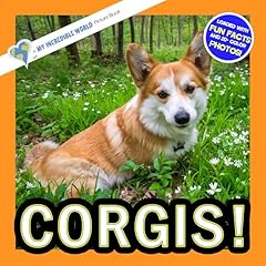 Corgis incredible world usato  Spedito ovunque in Italia 