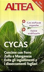 Altea cycas concime usato  Spedito ovunque in Italia 