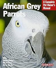 African grey parrots for sale  Delivered anywhere in UK