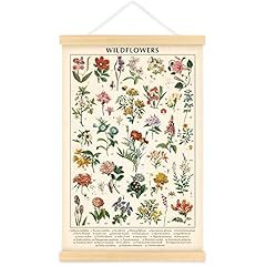 Vintage wildflowers poster for sale  Delivered anywhere in USA 