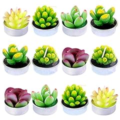 Swpeet 12pcs decorative for sale  Delivered anywhere in USA 